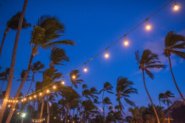 blurred light bokeh with coconut palm tree background on sunset, tropical sea and sand. yellow string lights with bokeh
