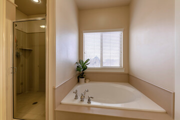 Alcove square bathtub with potted plants near the window and a shower stall with glass door. There is a shower stall with clear glass door on the left beside the bathtub on the right.
