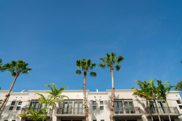Apartment building with sliding glass doors at the balconies with palm trees view at Miami,...
