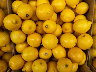 Bulk lemons for sale in the market