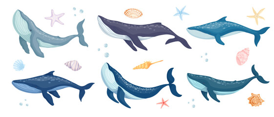 Set of aquatic mammals, blue whales, sea shells, stars, cartoon vector graphics.