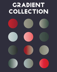 Set of color combinations and gradients. Vector illustration