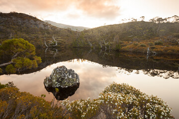 Wombat pool in Cradle mountain Tasmania. Rock in the lake.