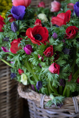 Fresh cut bright bouquets of Anemone coronaria, poppy anemone or windflower at the greek garden shop in spring.