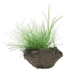 Green grass with soil isolated on a white background