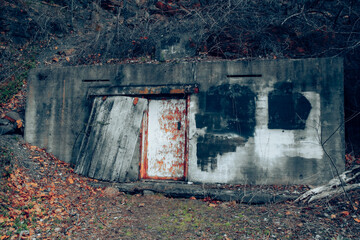 Broken down structure in the woods