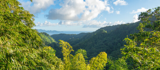Jardins de la Balata à Fort-De-France, Martinique. Jardins exotique des Antilles Françaises. 