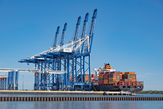 Gantry cranes and ship-to-shore cranes ready to load and off-load container vessel Hudson Express at Leatherman Terminal in Charleston Harbor, SC, USA on March 09, 2023.