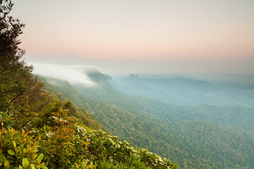 Sunset and huge waterfall of fog, view from Best of All Lookout, Springbrook National Park in Queensland Border to NSW