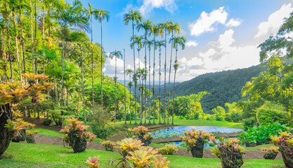 Jardins de la Balata à Fort-De-France, Martinique. Jardins exotique des Antilles Françaises. 
