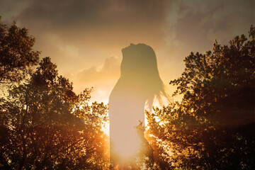 Fototapety na wymiar - Fototapeta24.pl