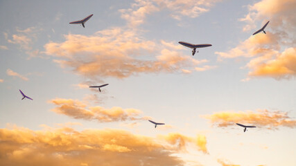 small air planes in a cloudy sky at sunset