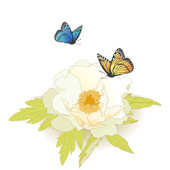 Watercolor vector sketch set of white delicate blooming spring peony and two flying bright butterflies