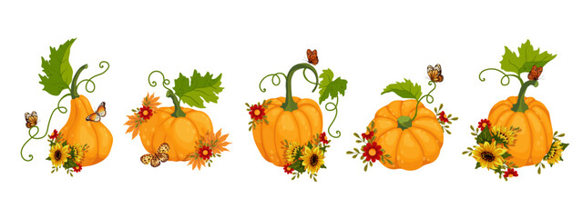 Ripe pumpkins with sunflower flowers, autumn leaves.Vector graphics.