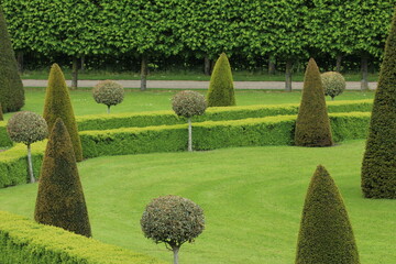 Accurately cut hedges and bushed in the Royal Hospital Kilmainham Formal Gardens in Dublin