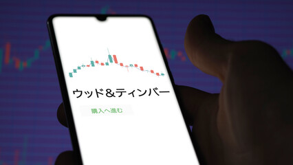 An investor analysing an ETF on a screen. Funds stocks exchange with Japanese text: Wood & Timber, buy