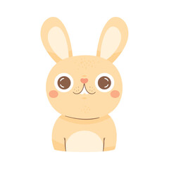 cute rabbit animal