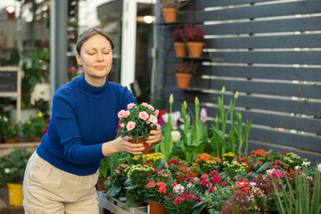 to decorate her garden, girl chooses garden carnation in flower shop. High quality photo