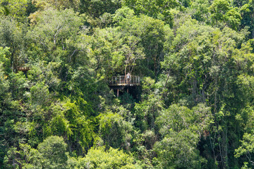 salto encantado provincial park. Hiking trail and clean watersalto encantado provincial park. Hiking trail and clean water