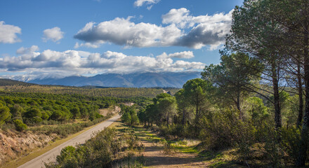 Fototapeta na wymiar Local Road CC-168 at Granadilla outskirts, Spain