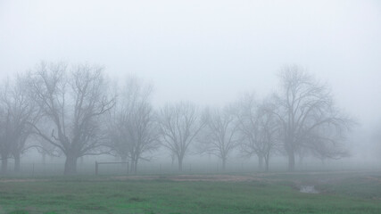 Obraz na płótnie Canvas Rural scenic view during a foggy street morning day. Winter season.