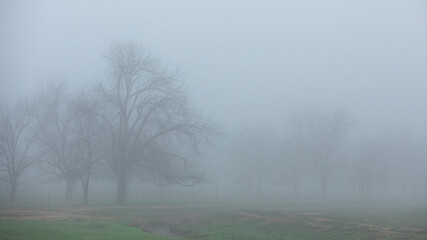Obraz na płótnie Canvas Rural scenic view during a foggy street morning day. Winter season.