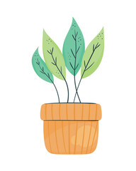 houseplant in brick pot