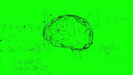 Animation of mathematical equations and diagrams over human brain against green background - Powered by Adobe