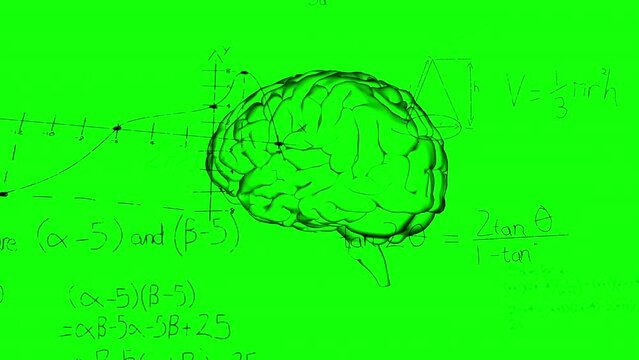 Animation of mathematical equations and diagrams over human brain against green background - Powered by Adobe