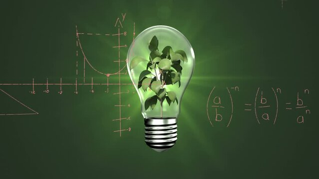 Animation of plant in bulb over mathematical equations and diagrams against green background