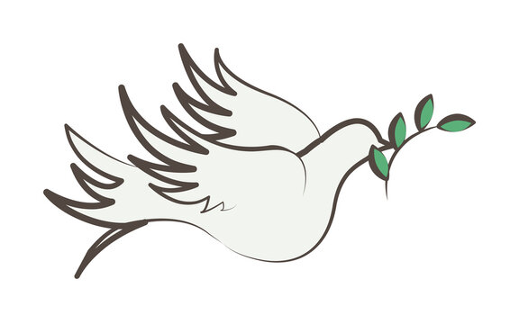 dove with branch sketch style icon