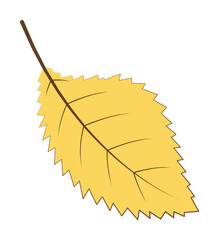 autumn yellow color leaf illustration design art