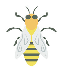 bee colored icon illustration design art