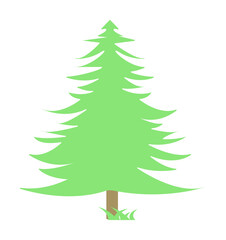 spruce colored icon illustration design art