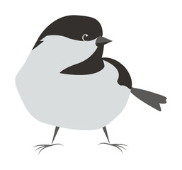 bird colored icon illustration design art