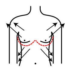 Breast enlargement, woman icon