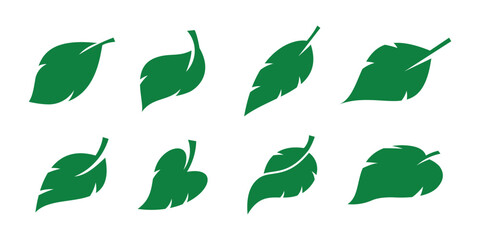 Green leaf icon set. Green color. Leaves on white background.