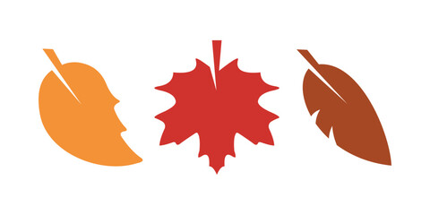 collection of autumn leaves blowing in the wind on a white background