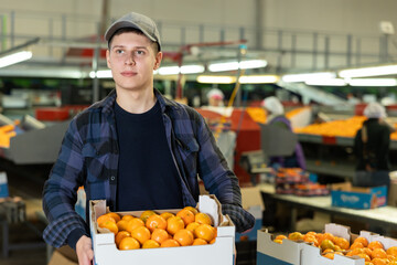Portrait of positive young guy working at fruit sorting and packaging factory, stacking boxes with...