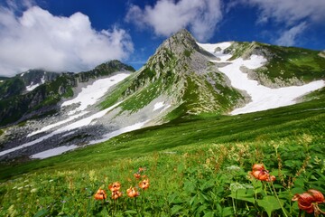 夏の立山連峰 ハイキング