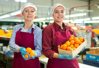 Two cheerful female workmates posing together in sorting workshop of fruit warehouse, holding fresh ripe mandarins in hands © JackF