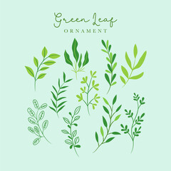 Green leaf decoration ornament Free Vector