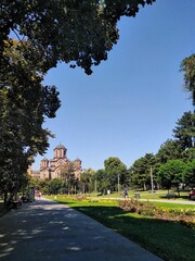 Fototapeta premium palace in the park