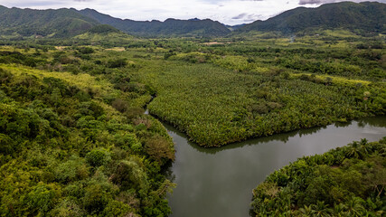 Jungle and Mountains