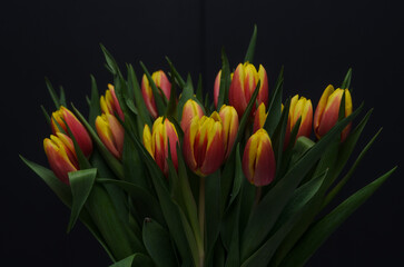 bouquet of red-yellow tulips on a dark background8