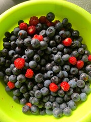 Wild berries 