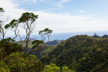 views hiking on the Wiliwilinui Ridge Trail in Honolulu, Hawaii. On the Oahu Island.