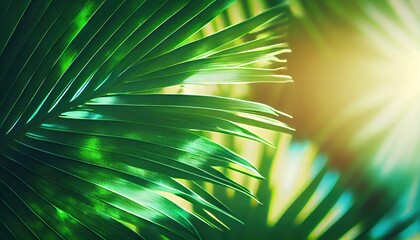 Obraz premium Palm leaves background. Sea view through green palm leaves and bright sunlight. ai generative