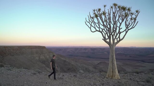 Man walks on the edge of canyon. Sunset in Africa. Quiver tree forest.