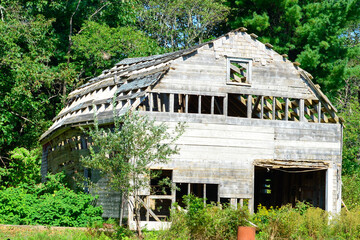 A vintage weathered and worn grey colored wooden farm barn hidden among overgrown trees and greenery. There are boards, doors, and windows missing from the hip roof and walls of the old structure. 